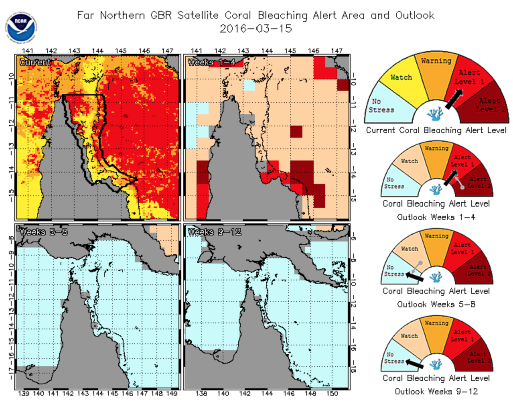 Maps and gauges representing the severity of coral bleaching in Far Northern GBR. The Maps represent the current conditions (upper left), and projections for 1-4 weeks (upper right), 5-8 weeks (bottom left), and 9-12 weeks (bottom right) out.